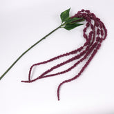 Amaranthus Stem in Burgundy